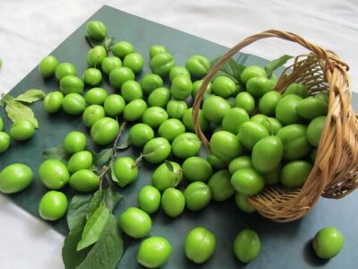 آذربایجان شرقی با تولید ۳۳ هزار تن، قطب تولید گوجه سبز ایران است