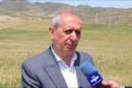 جبران خسارت ناشی از سرمازدگی و تگرک در بخش کشاورزی اهر پیگیری می شود
