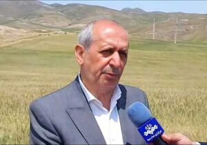 جبران خسارت ناشی از سرمازدگی و تگرک در بخش کشاورزی اهر پیگیری می شود
