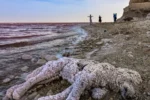 دریاچه ارومیه، سکوت امروز، پاسخ شرم‌آور فردا