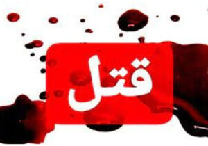 داماد برای ارث مادر و همسرش را به قتل رساند!