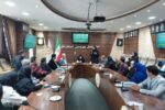 آسیب شنوایی، شایع‌ترین نقص مادرزادی در استان است