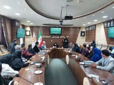 آسیب شنوایی، شایع‌ترین نقص مادرزادی در استان است