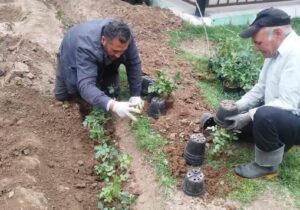 برنامه‌ریزی برای افزایش سرانه فضای سبز جنوب غرب تبریز به بیش از ۹ مترمربع