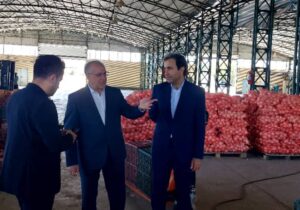 صنایع غذایی از ارکان اصلی اقتصاد کشور است