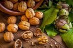 پیش‌بینی برداشت ۲۰ هزار تن گردو در آذربایجان‌شرقی طی سال‌جاری