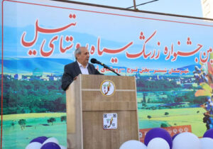 گام اساسی جهاد کشاورزی آذربایجان شرقی برای تولید انبوه زرشک سیاه با کشت‌بافت نهال