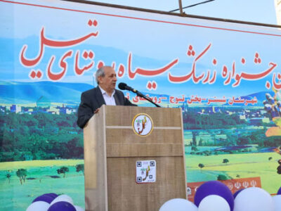 گام اساسی جهاد کشاورزی آذربایجان شرقی برای تولید انبوه زرشک سیاه با کشت‌بافت نهال