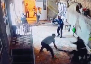 دستگیری دو متهم دیگر در پرونده جنجالی حمله به زوج سالخورده در اهر