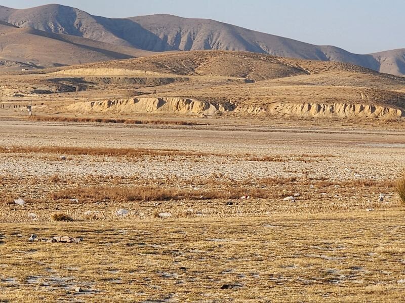تصاویری تاسف‌بار از خشک شدن کامل تالاب بین‌المللی قوری گول