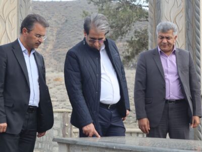 «سلامت روان» از سیاست‌های محوری دولت است