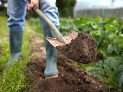 کاهش هزینه تولید و افزایش بهره‌وری؛ راهبردهای اقتصادی وزارت جهادکشاورزی برای نجات خاک است