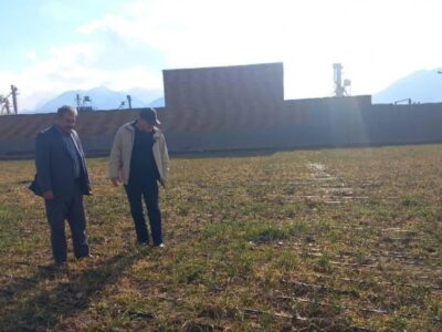 کشت پاییزه سیر در ۳۵۵ هکتار از اراضی آذربایجانشرقی/ پیشبینی تولید بیش از ۸ هزار تن محصول