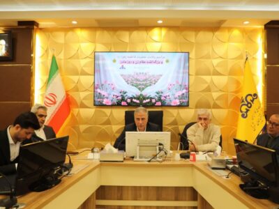 زن سکاندار فرهنگ خانواده و سفیر مدیریت مصرف انرژی است