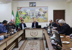 وجود بیش از ۷ میلیون واحد دامی در آذربایجان شرقی؛ اهتمام سازمان بر توسعه دامداریهای روستایی