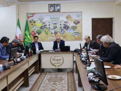 وجود بیش از ۷ میلیون واحد دامی در آذربایجان شرقی؛ اهتمام سازمان بر توسعه دامداریهای روستایی