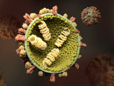 افزایش ابتلای آنفلوآنزا در کودکان/ ضرورت همراهی خانوادهها در تعطیلی مدارس