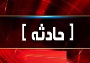 حمله سگ‌های بدون صاحب به دانشجوی دختر در دانشگاه تبریز