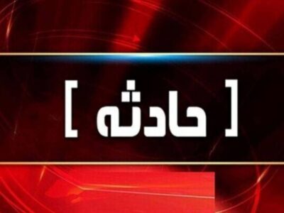 حمله سگ‌های بدون صاحب به دانشجوی دختر در دانشگاه تبریز