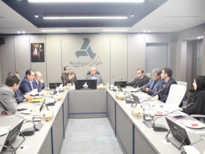 امکان استفاده منطقه آزاد ارس از سامانههای برخط وزارت صمت