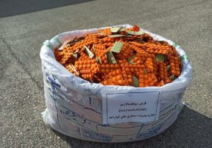 ضربه به شبکه قاچاق دارو در مرند؛ کشف ۷۰۰ کارتن آنتی بیوتیک