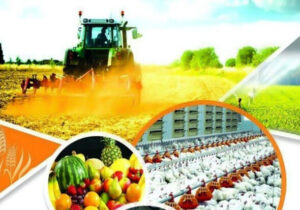 مهارت، کلید اشتغال آینده کشاورزی