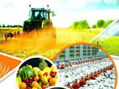 مهارت، کلید اشتغال آینده کشاورزی