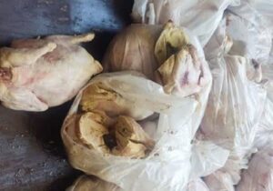 کشف ۱۳ تن گوشت و فرآورده های پروتئینی فاسد در تبریز