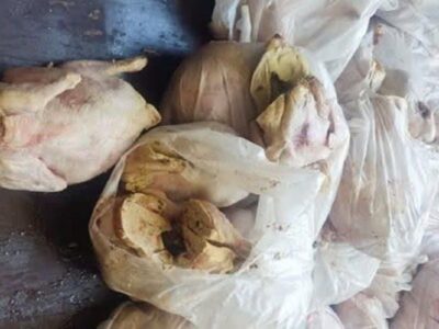 کشف ۱۳ تن گوشت و فرآورده های پروتئینی فاسد در تبریز