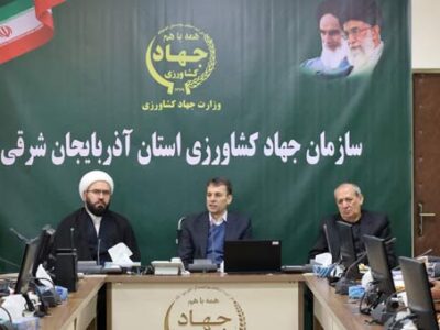 حدود 95 درصد از اراضی کشاورزی رفع تداخل شده است