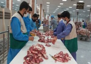 نظارت شرعی و بهداشتی بر ۲ هزار راس دام زنده و لاشه دام در آذربایجان‌شرقی