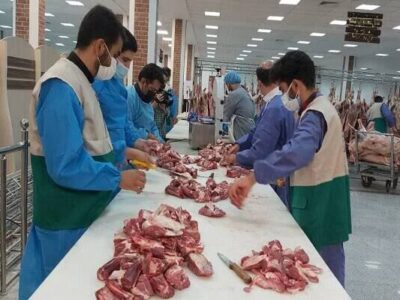 نظارت شرعی و بهداشتی بر ۲ هزار راس دام زنده و لاشه دام در آذربایجانشرقی