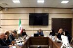 هم‌افزایی دستگاه‌های اجرایی برای حمایت از درمان ناباروری ضروری است