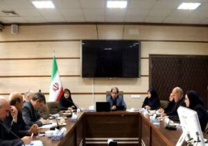 هم‌افزایی دستگاه‌های اجرایی برای حمایت از درمان ناباروری ضروری است